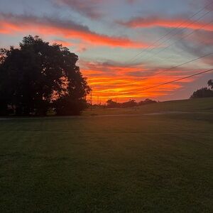 Monday marathon! Item 51-100 live show